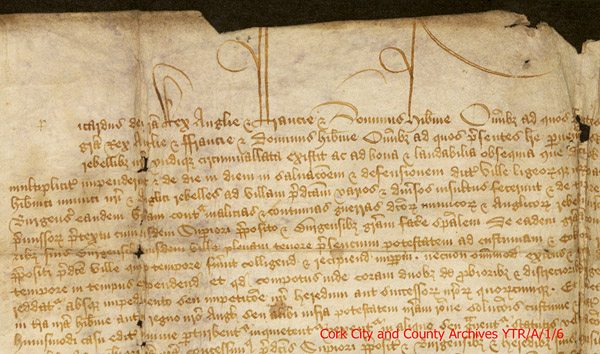 King Richard 3rd Youghal Charter 1485