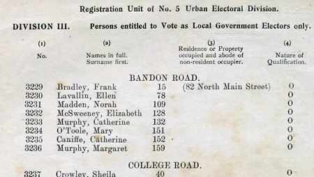 Cork City Register of Electors 1919